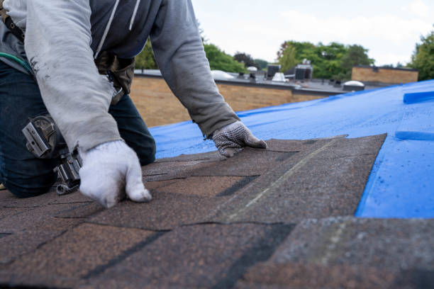 Best Roof Leak Repair  in Gateway, AK