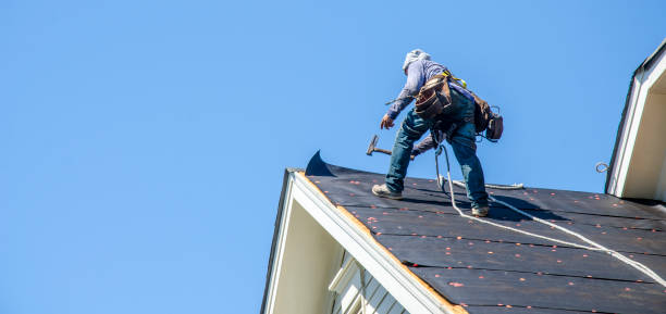 Best Metal Roofing Contractor  in Gateway, AK